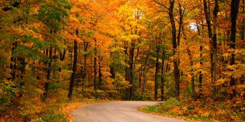 Fall Foliage in New Hampshire - Mount Monadnock Loop - Photo Credit Rick Sluben