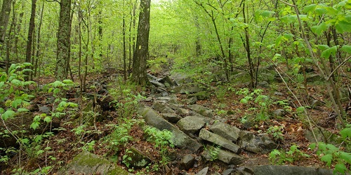 Mount Sunapee State Park - Photo Credit NH State Parks & Recreation