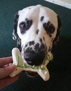Doggie Bicuit - Green Granite Inn & Conference Center - North Conway, NH