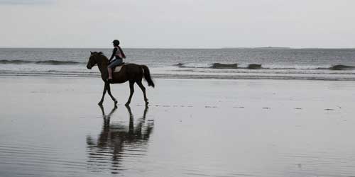 Jenness State Beach -credit-NHDTTD