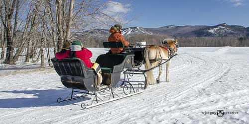 Sleigh Rides intro graf horse and sleigh-Farm by the River B&B and Stables-credit-Dan Houde