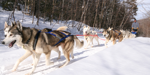 Getaway Couple - Video Husky