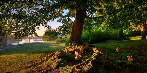 Portsmouth Harbor Trail Walks - Portsmouth, NH - Photo Credit Greater Portsmouth Chamber