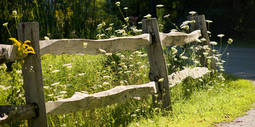 Chesterfield Inn Flowers & Fence - Distinctive Inns of New England
