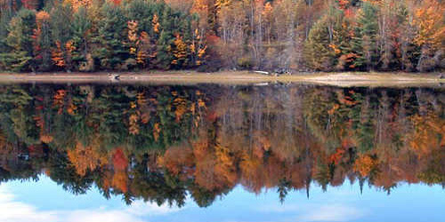 white mountain trail