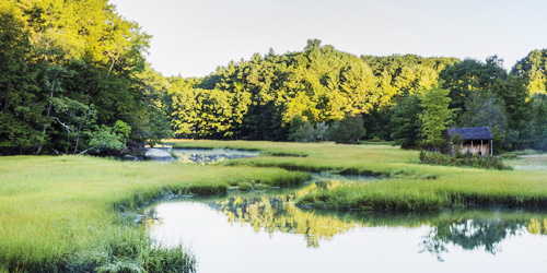 great bay national estuarine reserve