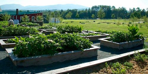 Veggie Garden - Mountain View Grand Resort & Spa - Whitefield, NH