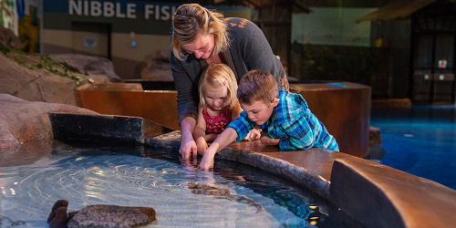 Family at Shark Touch Tank - Living Shores Aquarium - Glen, NH