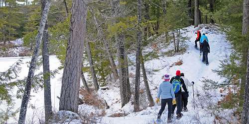 Purity Spring Cross Country Skiing & Snowshoeing - Madison, NH