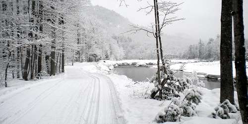 Bear Notch Ski Touring Center - Bartlett, NH