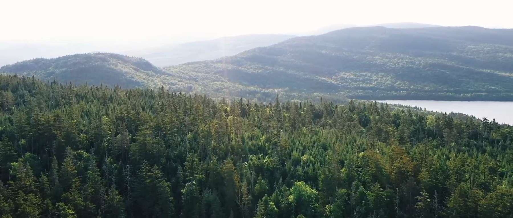 Connecticut Lakes State Forest - Northern New Hampshire - Photo Credit Explore New England & AJ DeRosa