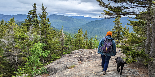 Mountain Hike with the Dog - Town of Bethlehem, NH - Photo Credit The Rocks NH