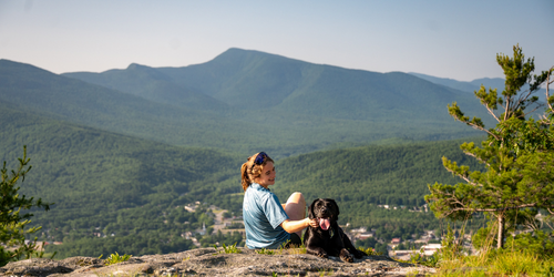 Pet and Dog Friendly
