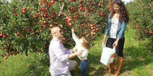 Alyson's Orchard - Walpole, NH