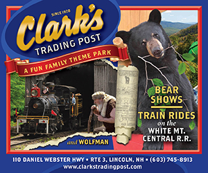 Clark's Bears - Lincoln, NH